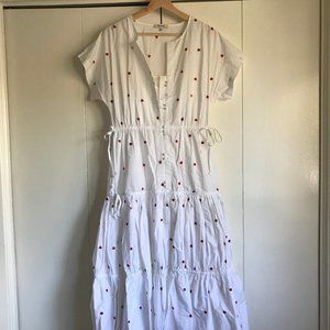 Madewell Strawberry Dress